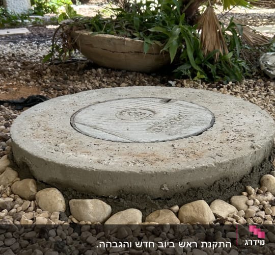 מכסה ביוב מוקף באבנים קטנות וצמחייה